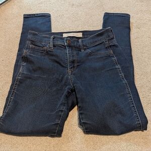 Gap Skinny Dark Wash Blue Jeans